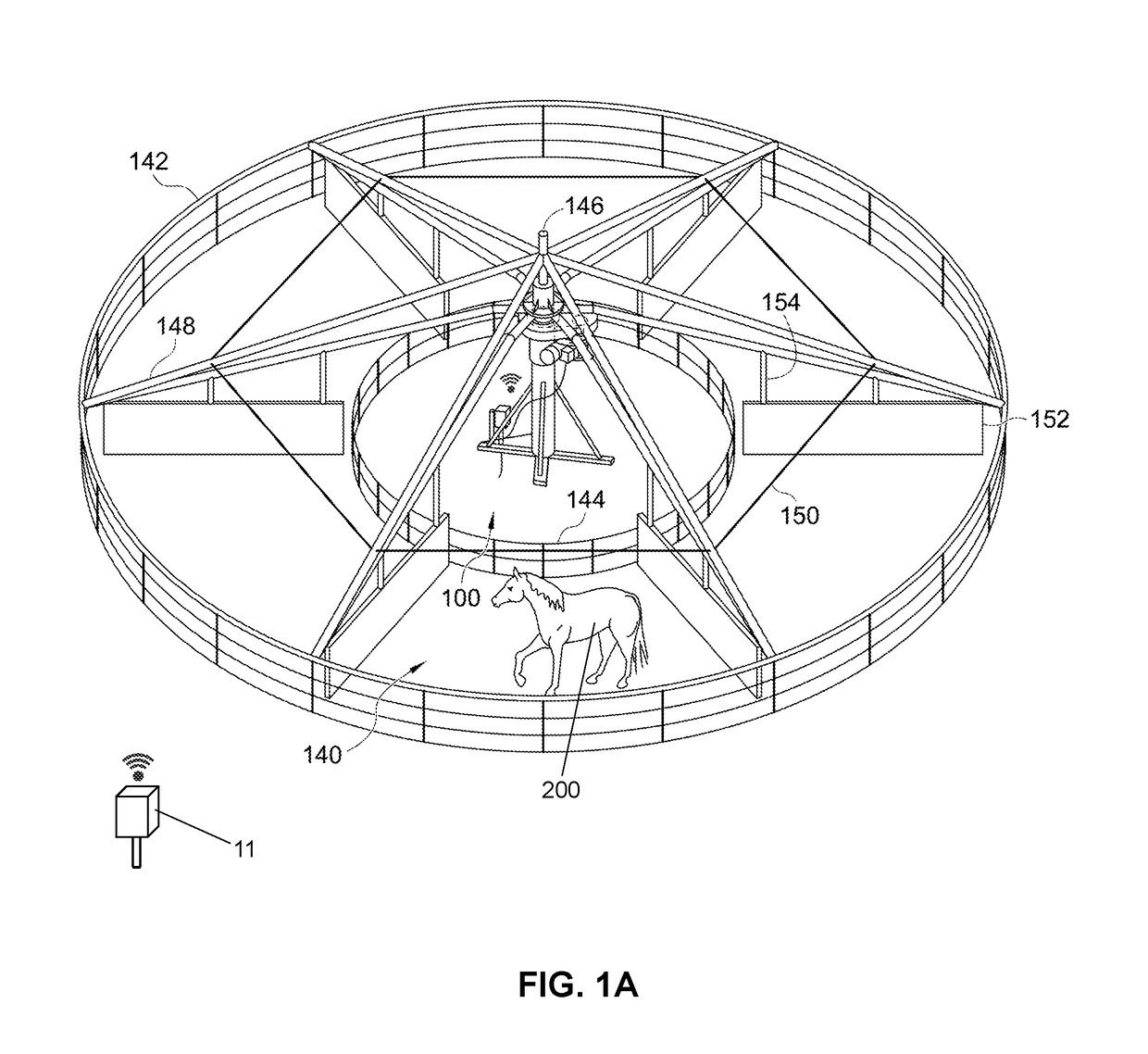 Animal conditioning and training apparatus