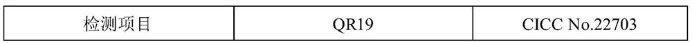 A kind of Lactobacillus plantarum qr19 and its application