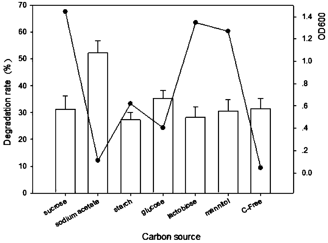 Tetracycline efficient degradation bacterium and application thereof