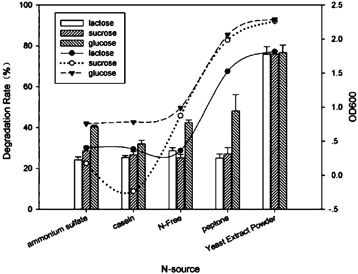 Tetracycline efficient degradation bacterium and application thereof