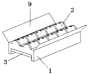 Seedling cultivation device for roxburgh rose planting