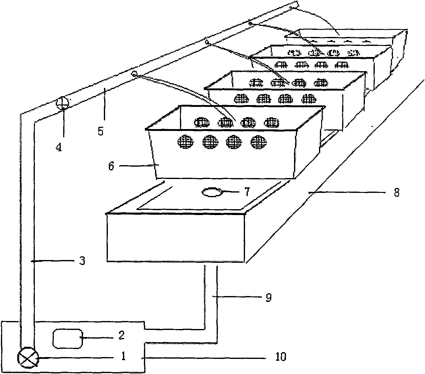 Industrial seed culture production line for Tilapia mossambica