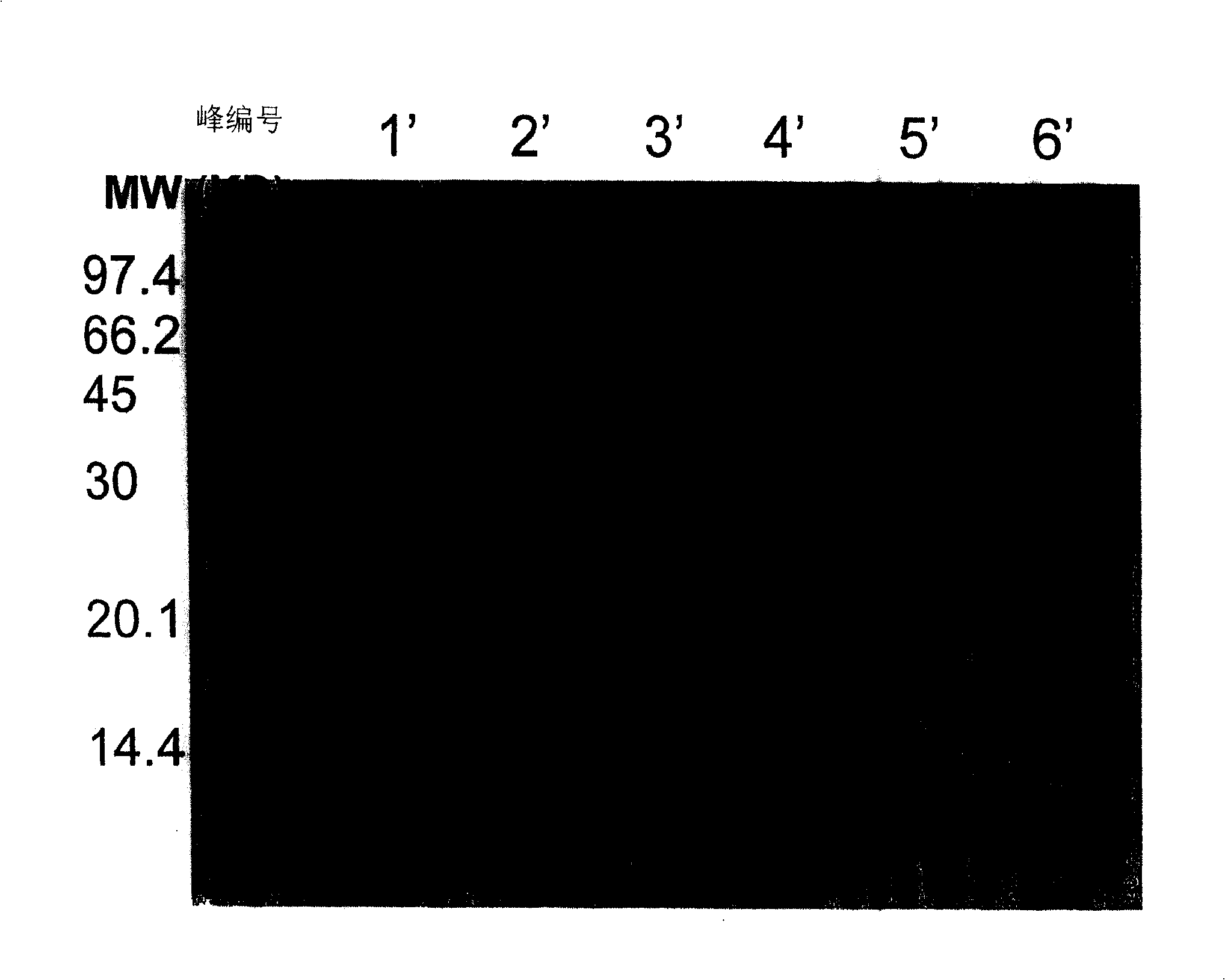 Mixture containing mix interferon-alpha hypotype