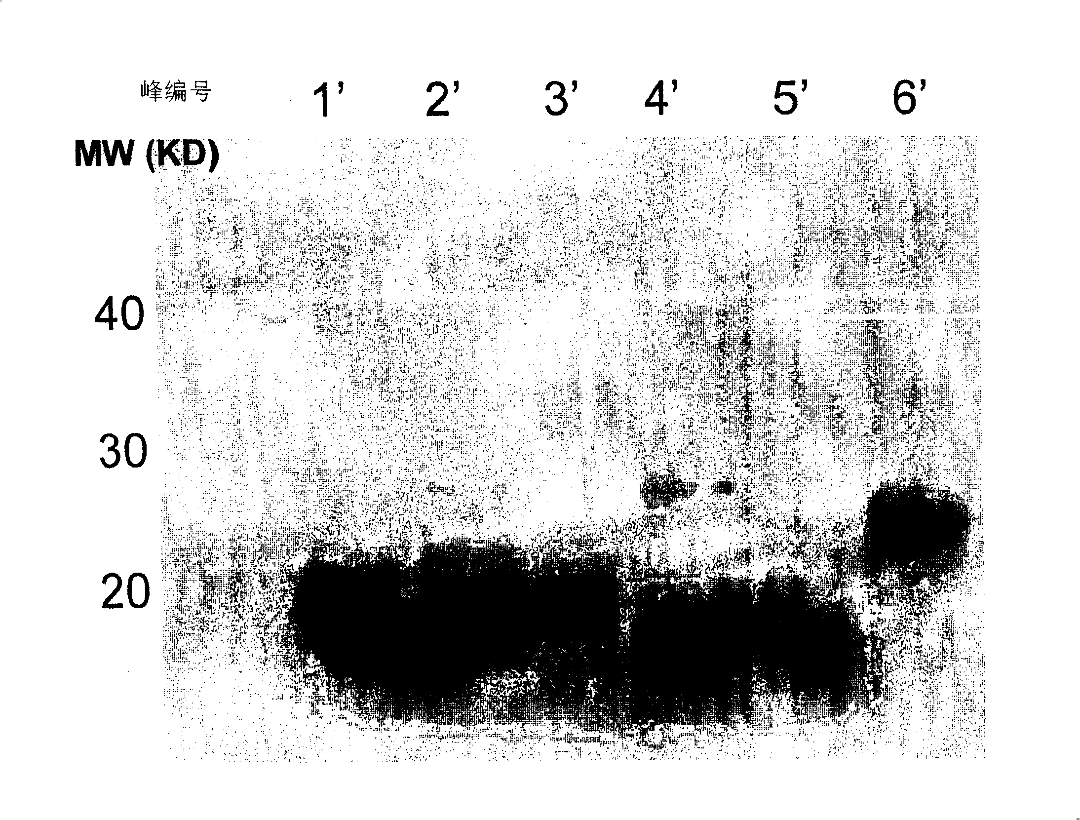 Mixture containing mix interferon-alpha hypotype