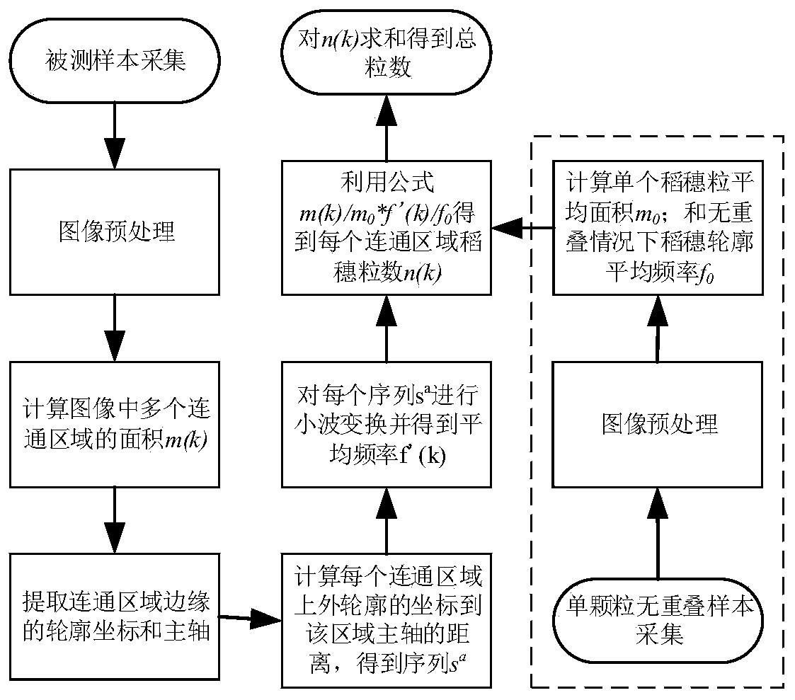 Method and system for non-destructive counting of rice spikes and grains based on multi-scale analysis of contour information