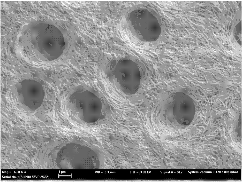 Material for desensitizing teeth by sealing dentinal tubules