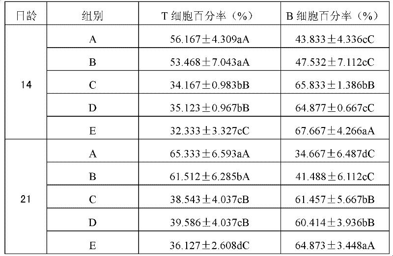 Preparation method of chicken infectious bursal disease specific transfer factor