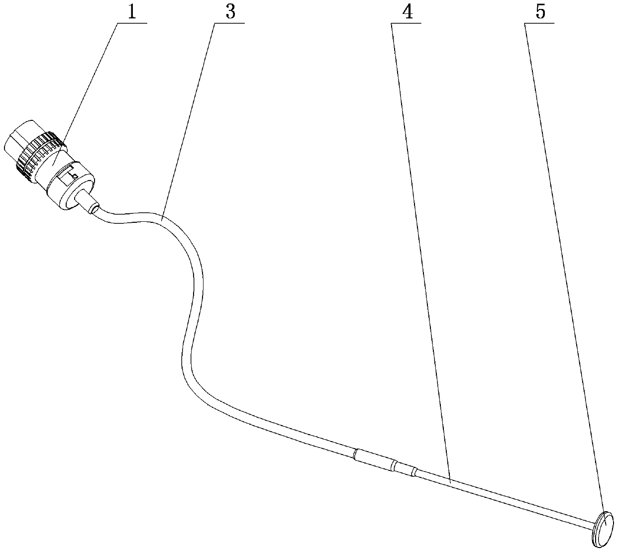 Equipment for inducing body immunity to resist cervical human papilloma viral infection