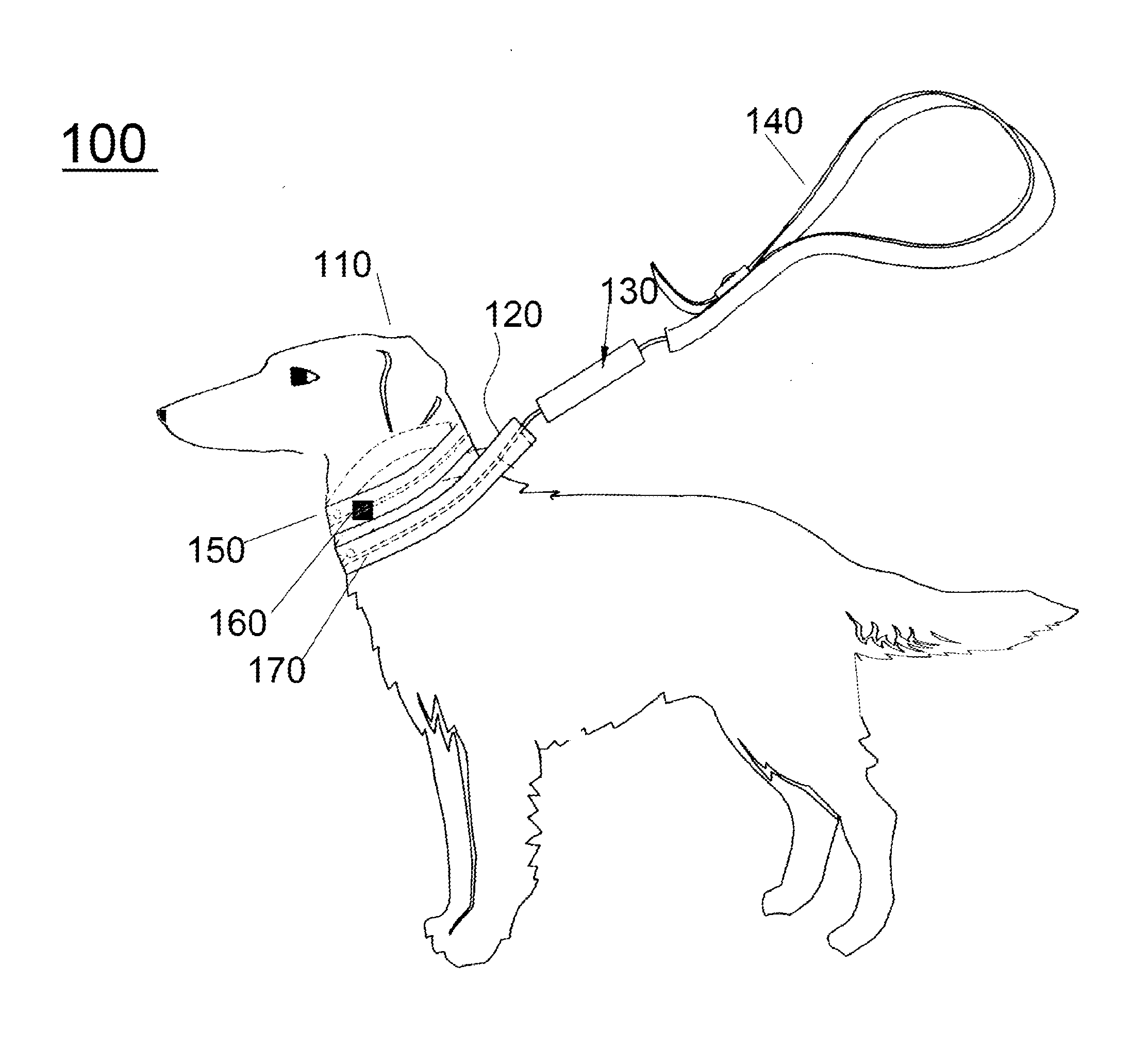 Leash and collar for animal control