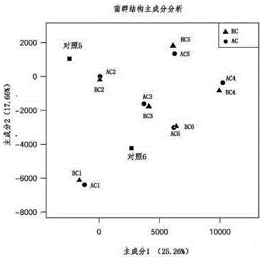 Excrement flora in-vitro culture method and culture medium