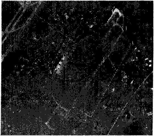 Optical remote sensing image registration method