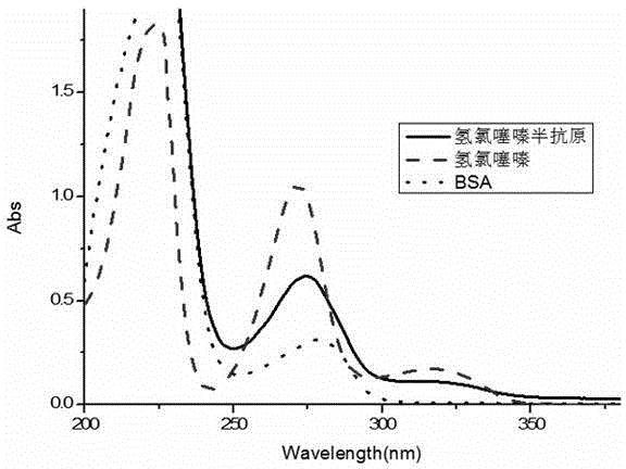 Hydrochlorothiazide semi-antigen and complete antigen as well as preparation method thereof