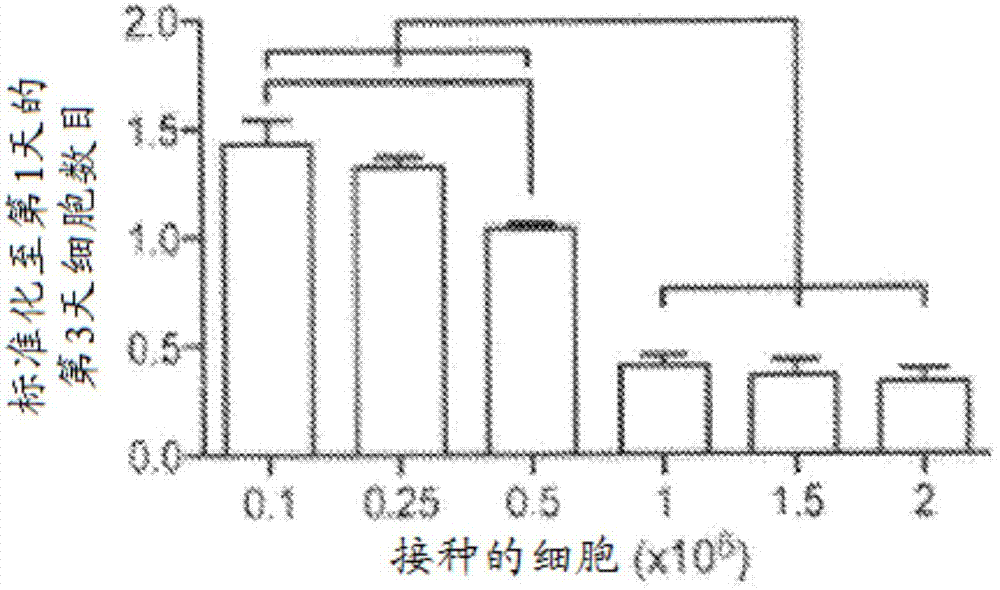 Engineering mechanically functional human cartilage and method of making same