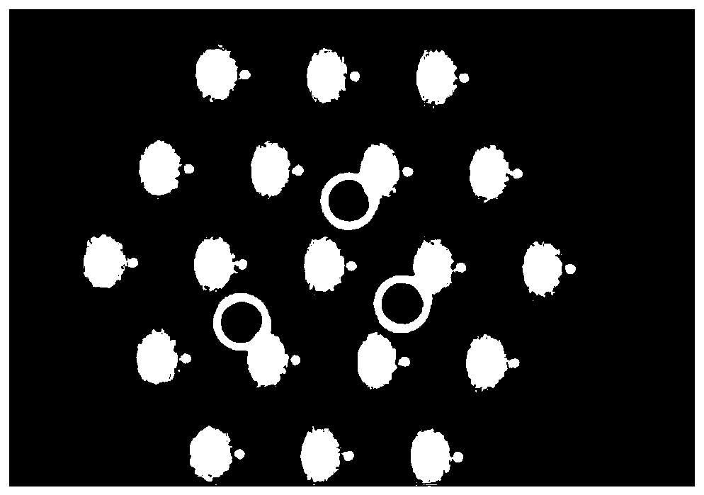 Lithium ion battery diaphragm