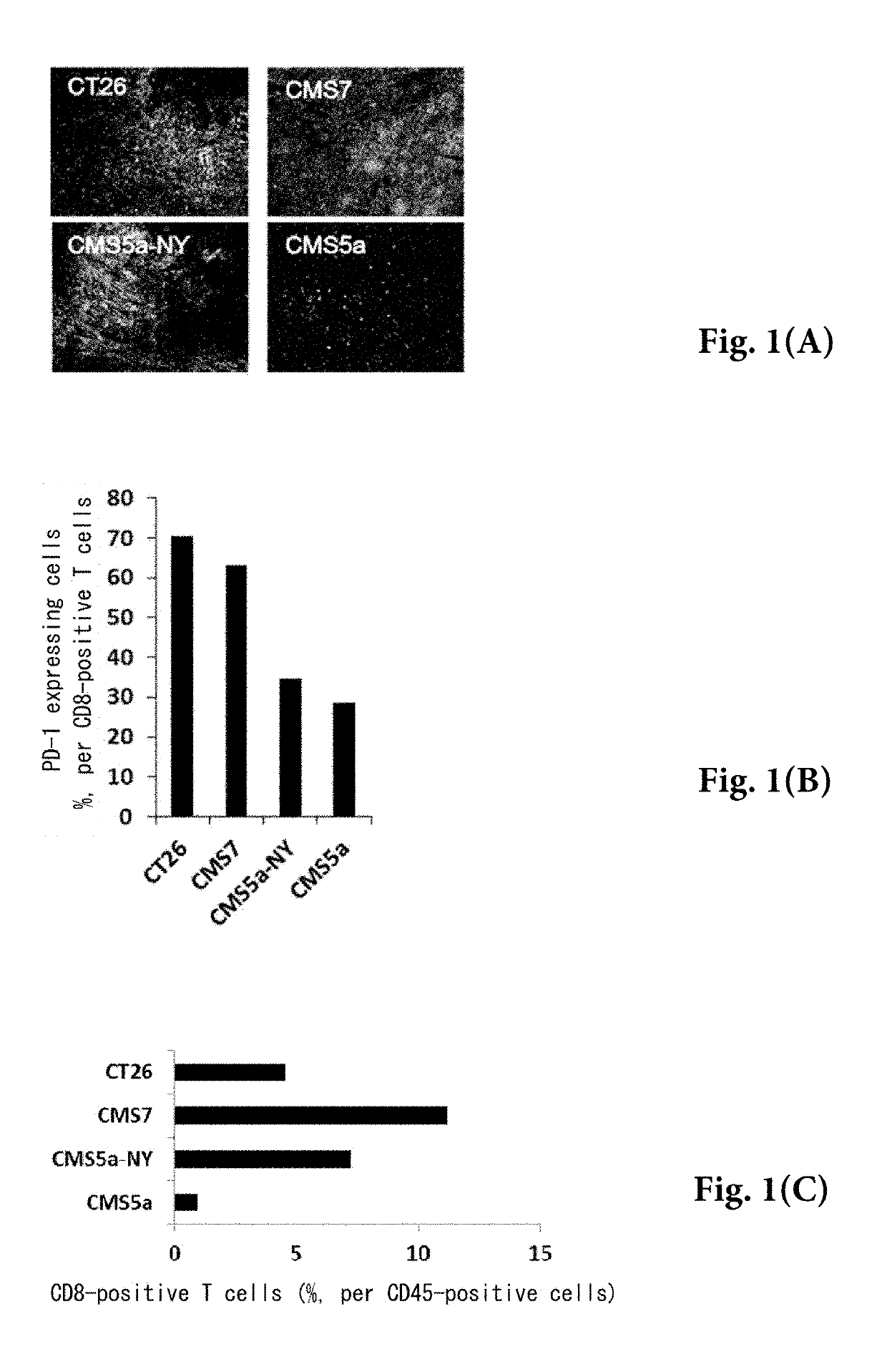 Pretreatment drug for t cell infusion therapy for immune-checkpoint inhibitor-resistant tumor