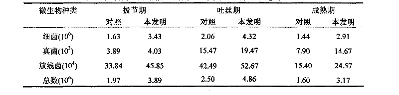 Physical structure regulating method of high-yield soil for summer corns