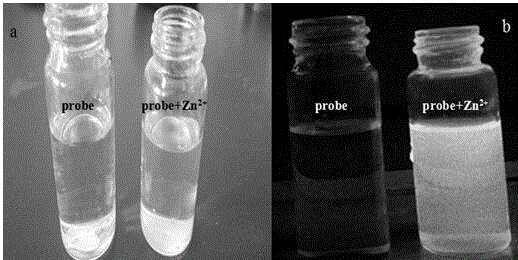 Iso-longitolanone based hexahydroquinazoline-2-amine Schiff base Zn&lt;2+&gt; fluorescent probe as well as preparation method and application thereof