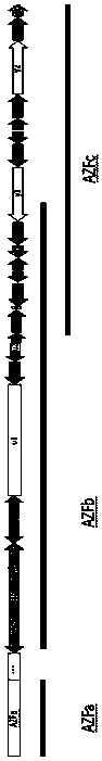 Y chromosome azf region microdeletion detection kit