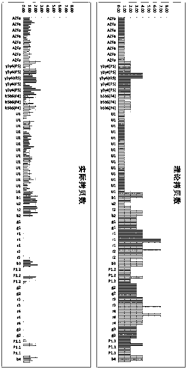 Y chromosome azf region microdeletion detection kit