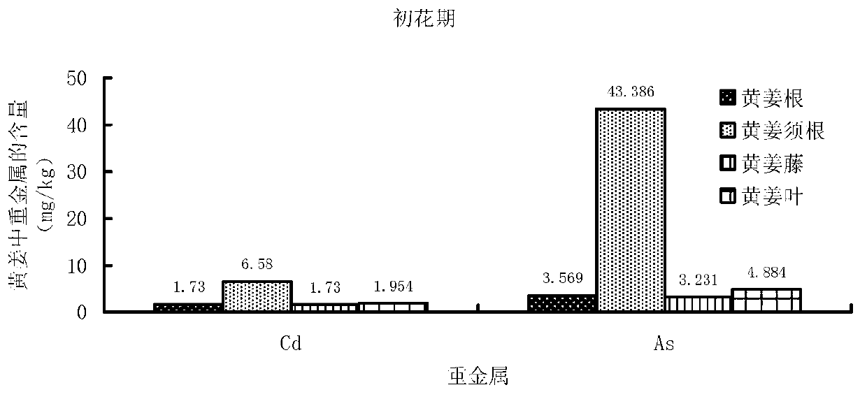 Method of repairing heavy metal contaminated soil by utilizing turmeric