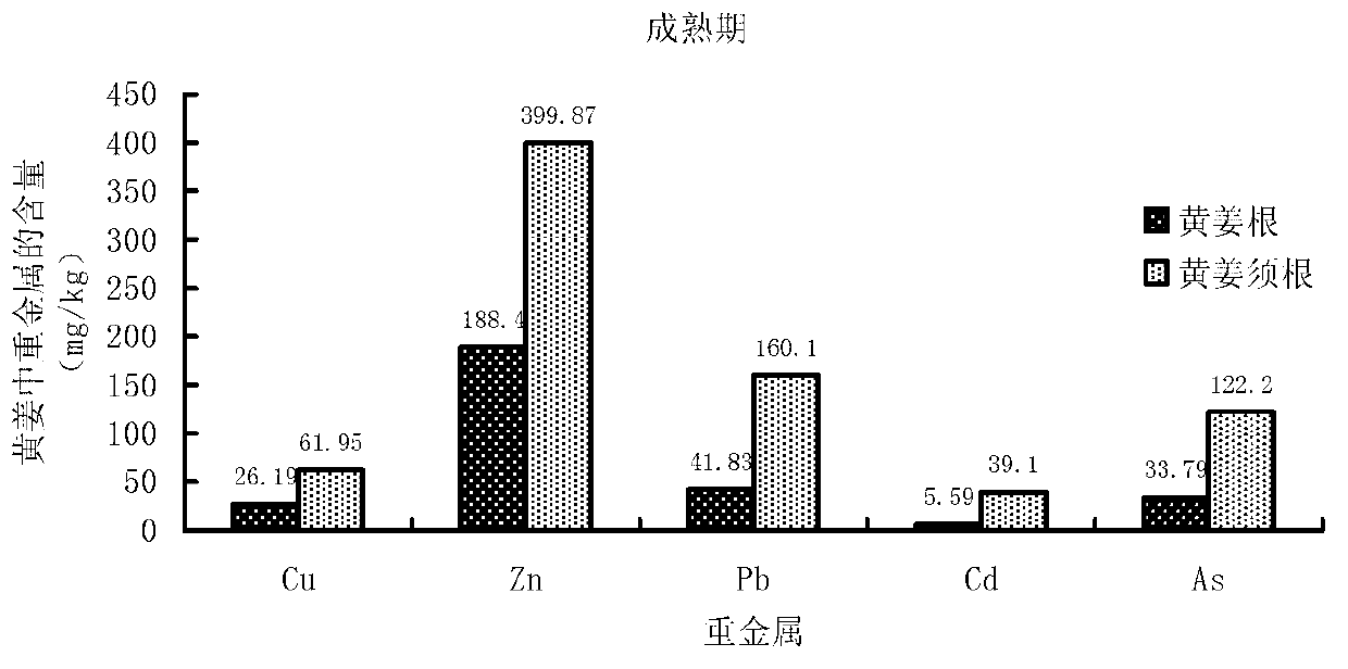 Method of repairing heavy metal contaminated soil by utilizing turmeric