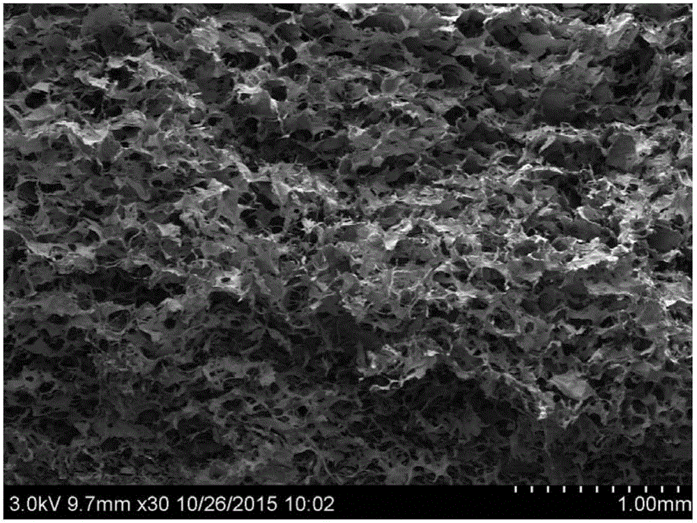 Collagen biological membrane and preparation method of collagen biological membrane