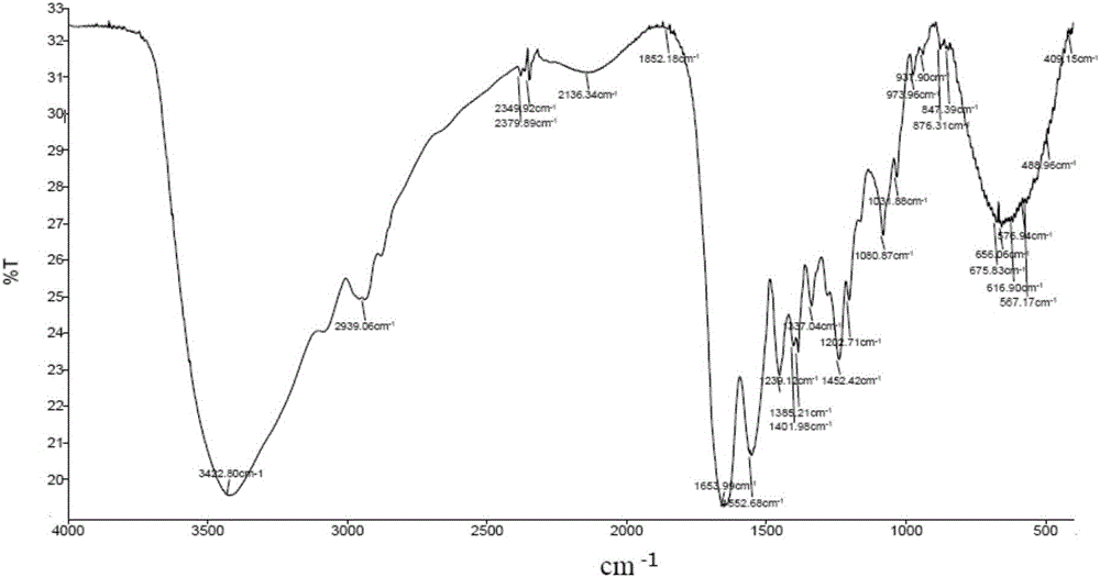 Collagen biological membrane and preparation method of collagen biological membrane