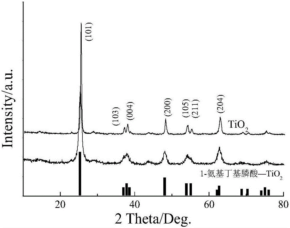 Preparation method of human milk fat substitute