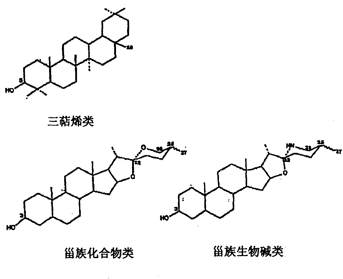 Treatment of urinary tract infections with a mixture of saponin and an antibiotic