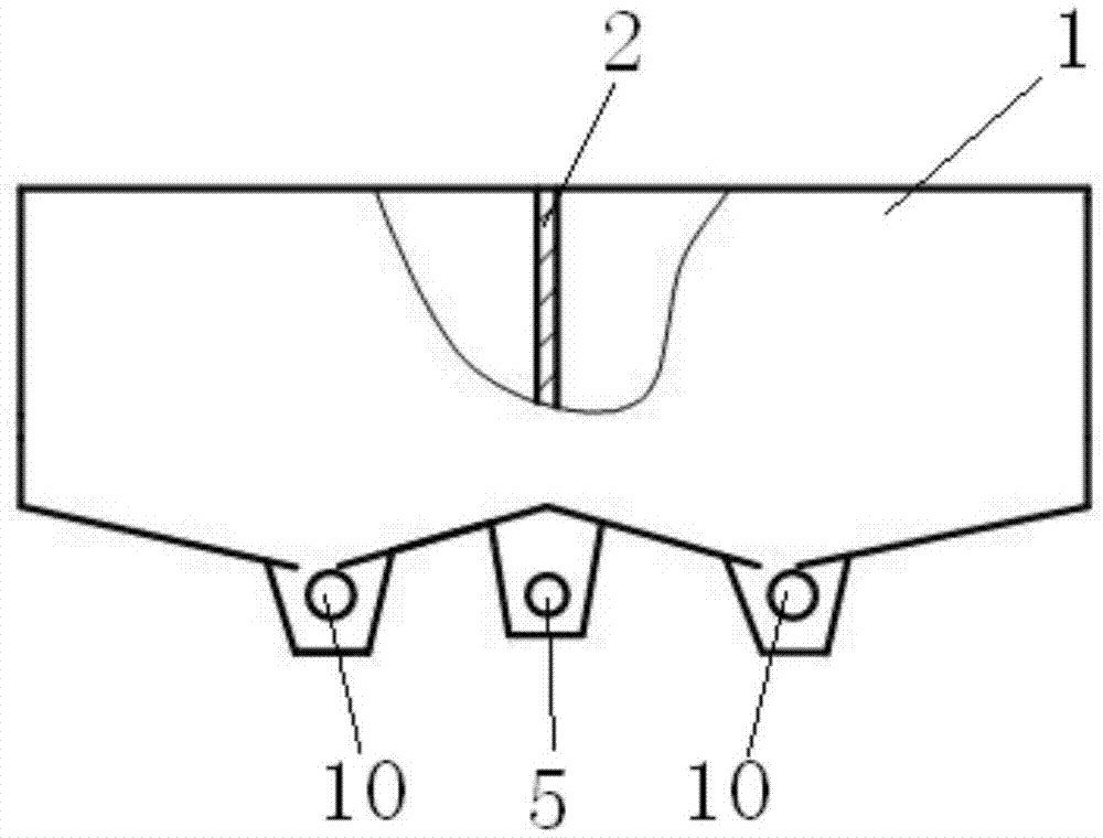 Paddy rice sprout cultivation controlled release fertilizer and rice seed contact fertilizing apparatus