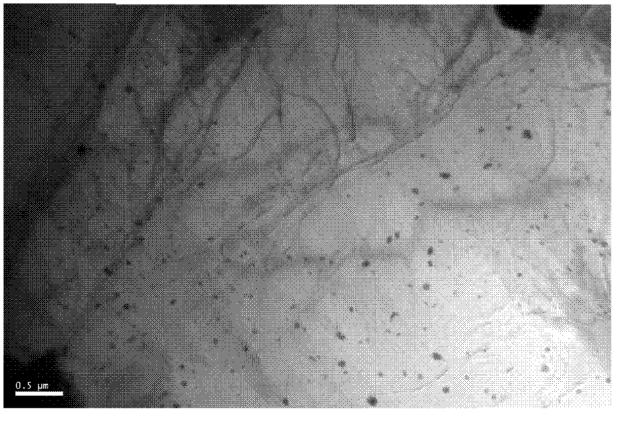 Magnesium alloy reinforced by nano-quasi-crystal particles and preparation method of the alloy