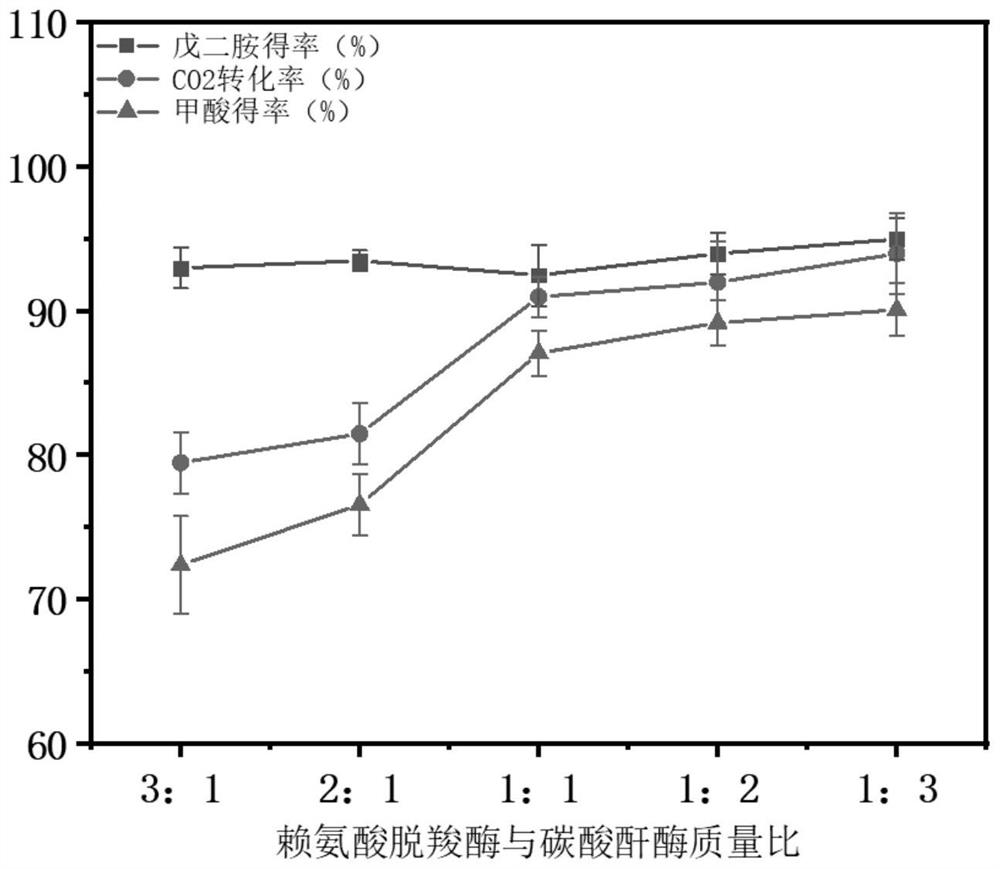 Construction method of photoactive artificial cell and application of photoactive artificial cell in synchronous green synthesis of pentamethylene diamine and formic acid