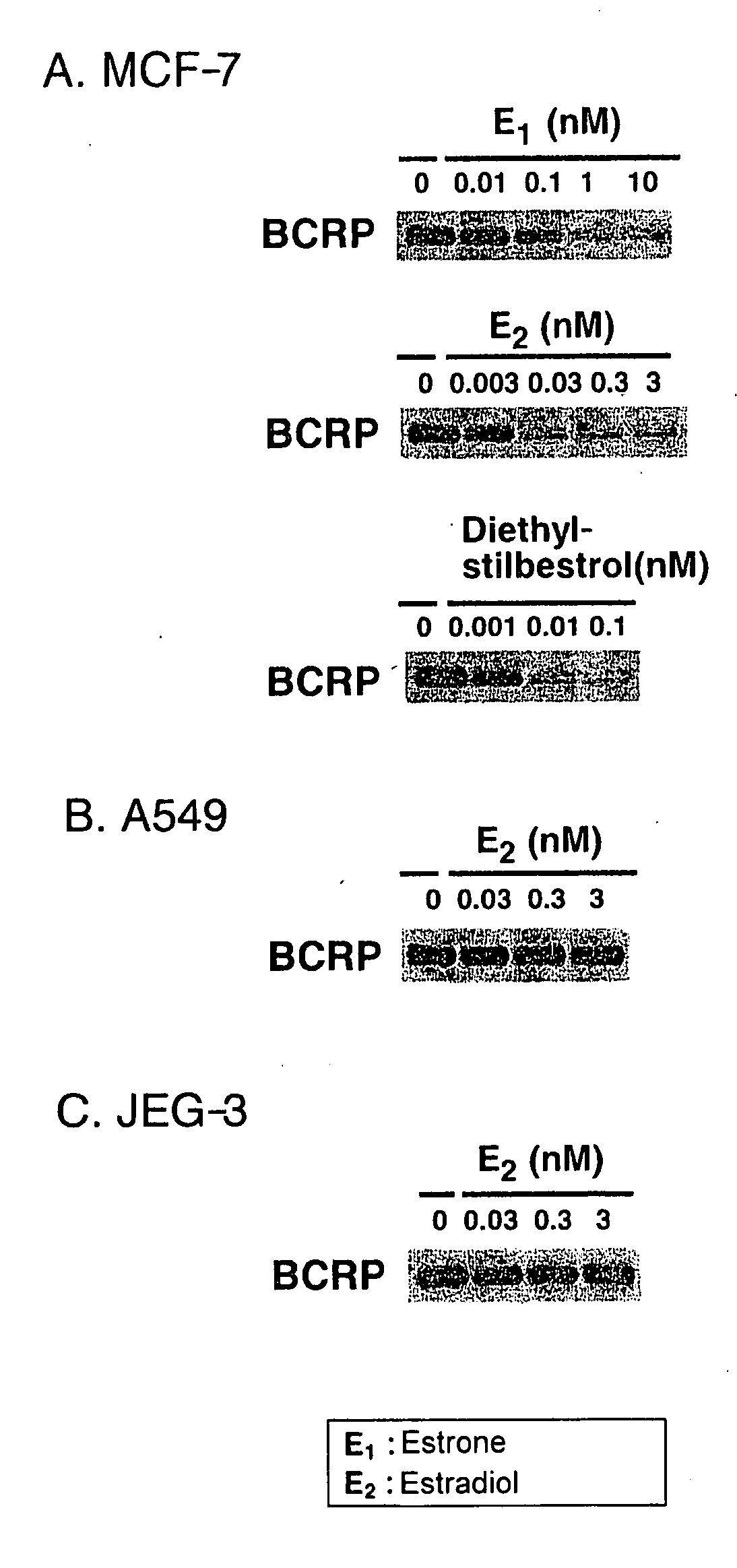 Antagonist Against Tolerance to Anticancer Drugs