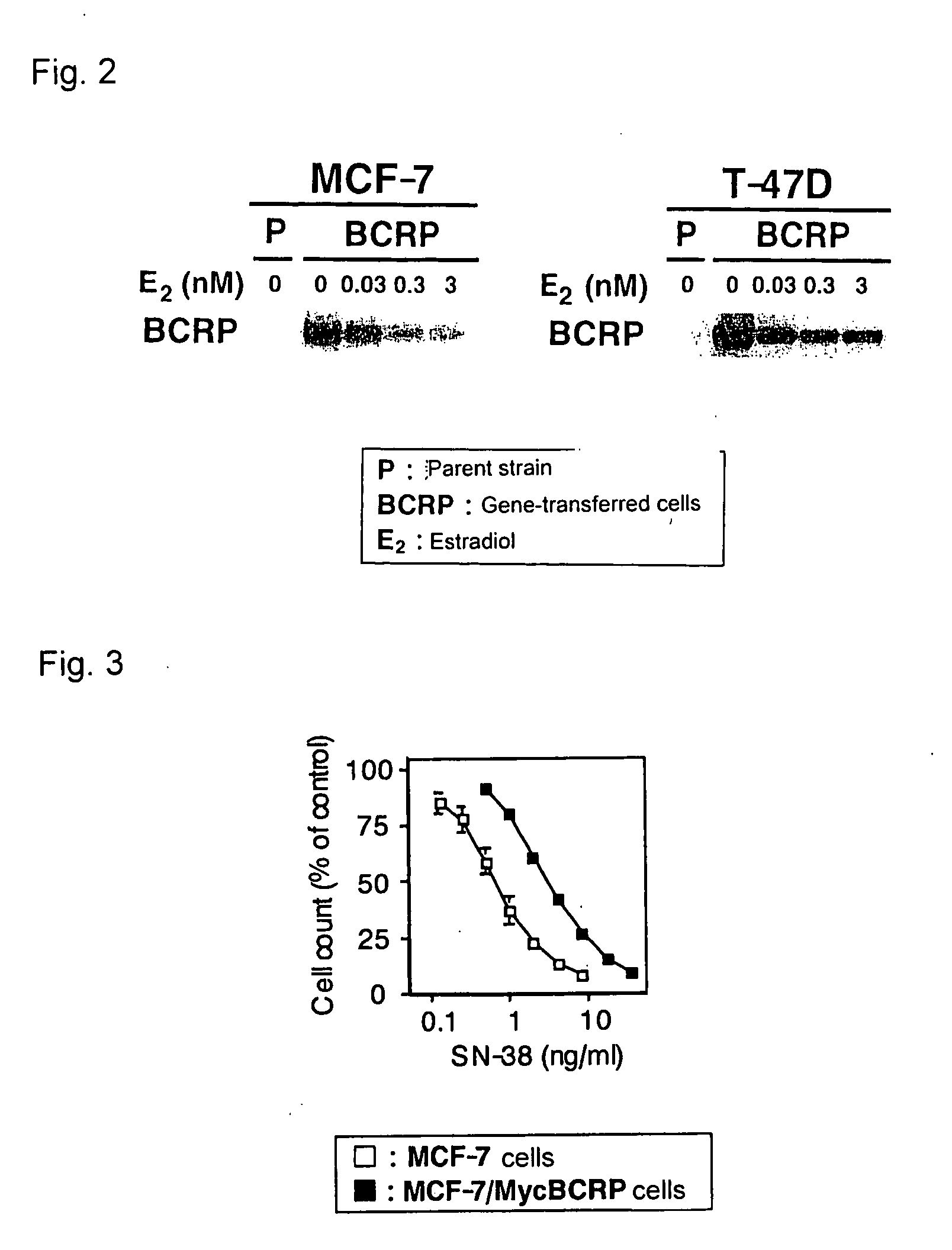 Antagonist Against Tolerance to Anticancer Drugs