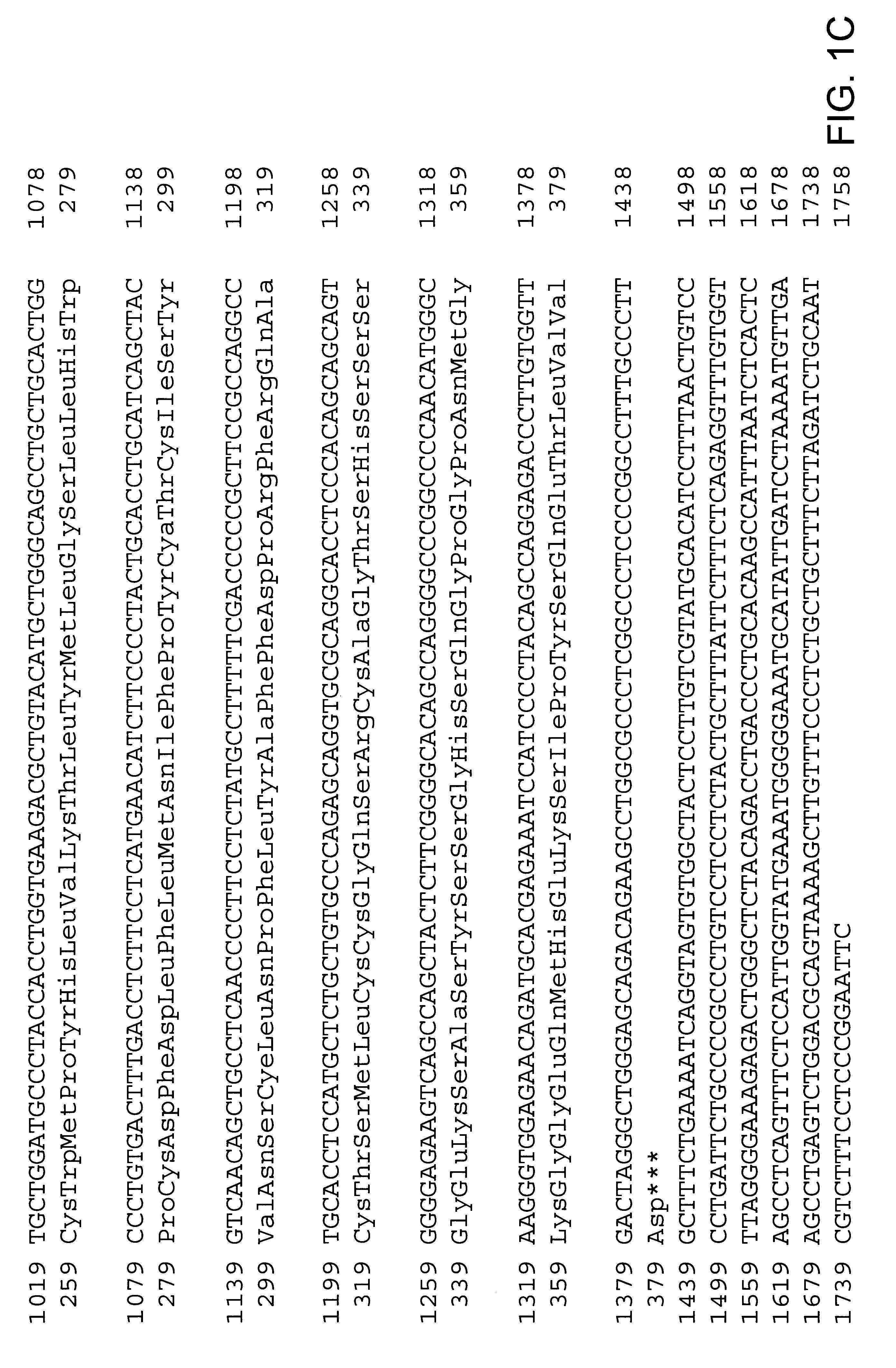 APJ ligand polypeptides