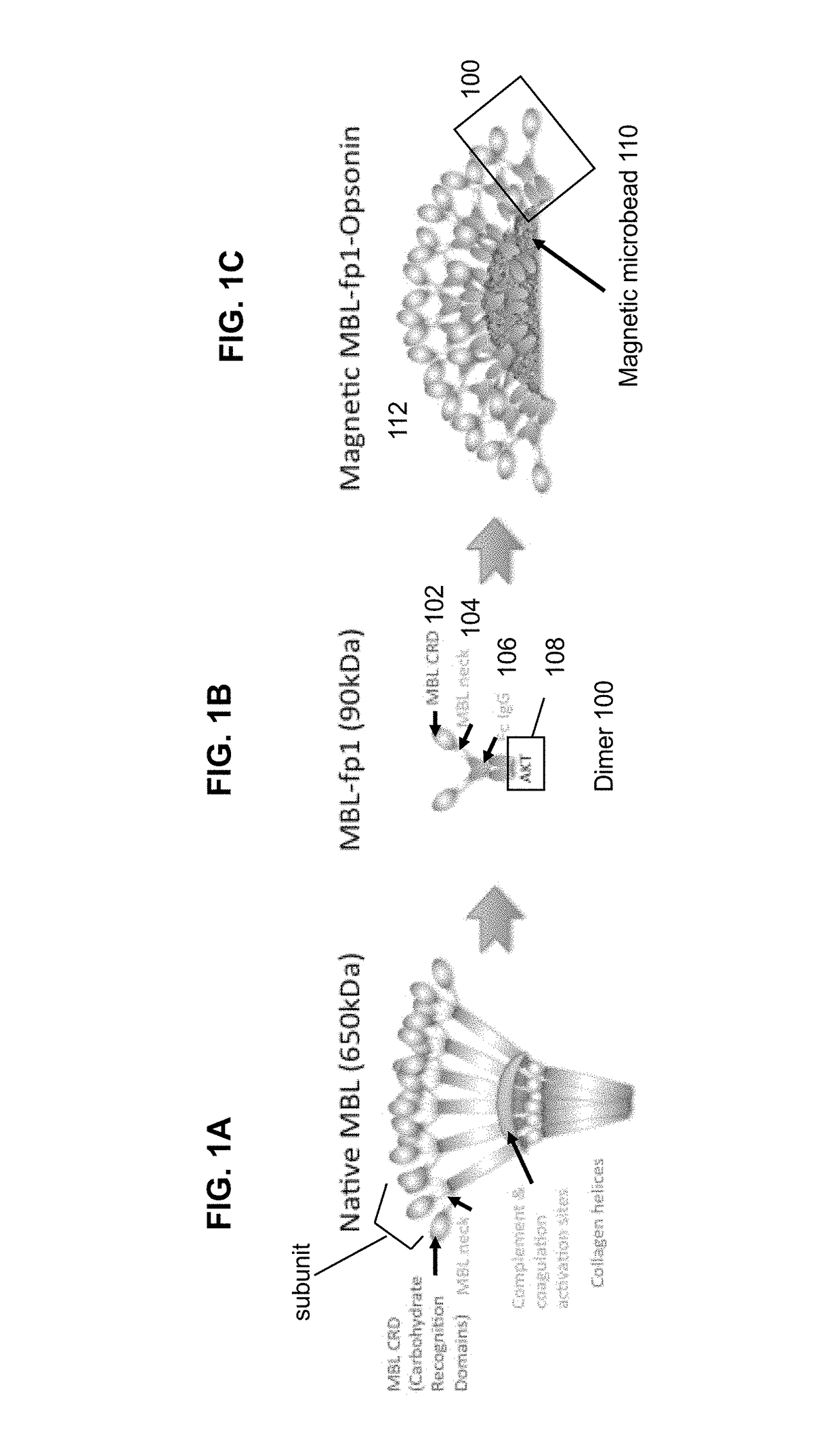 Pathogen binding methods and compositions