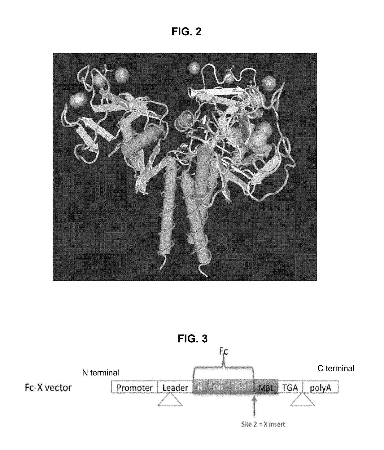 Pathogen binding methods and compositions