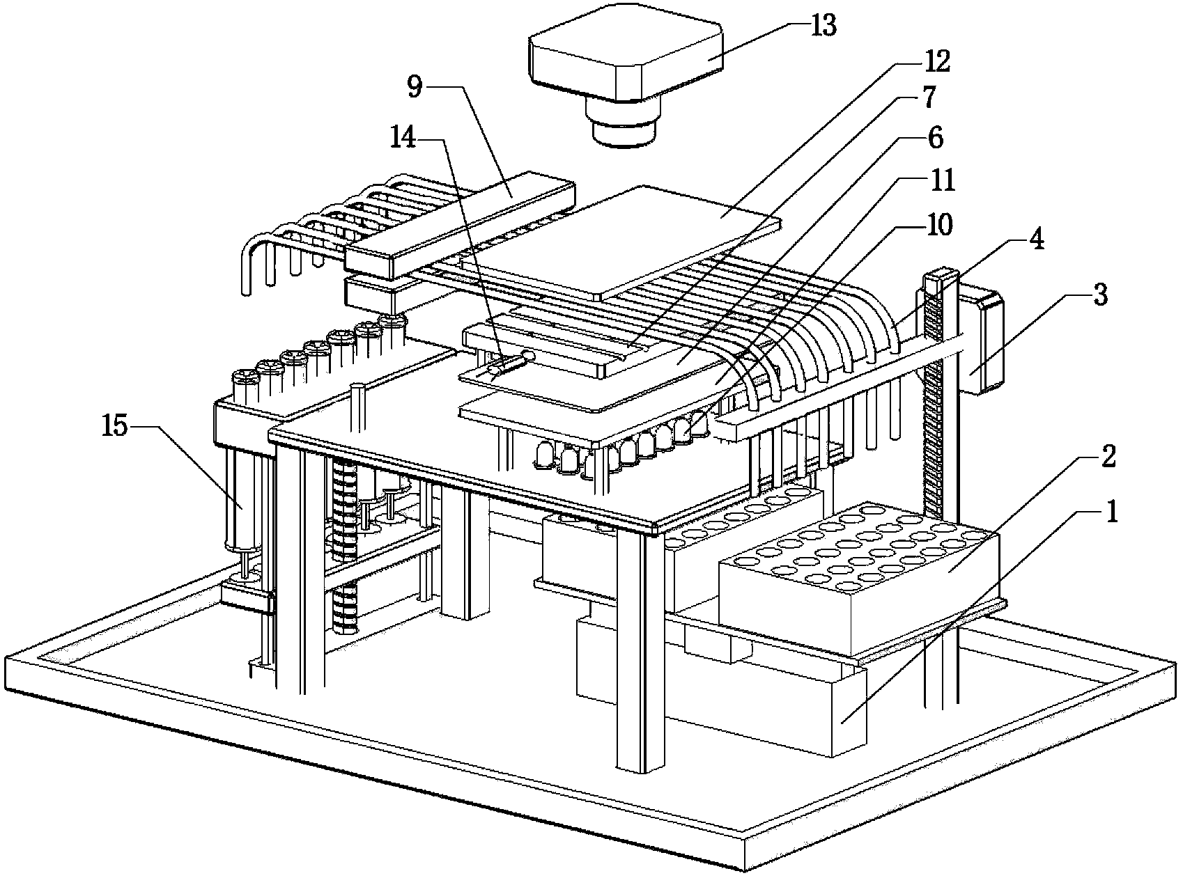 Capillary bioanalysis system, and analytical method and applications thereof