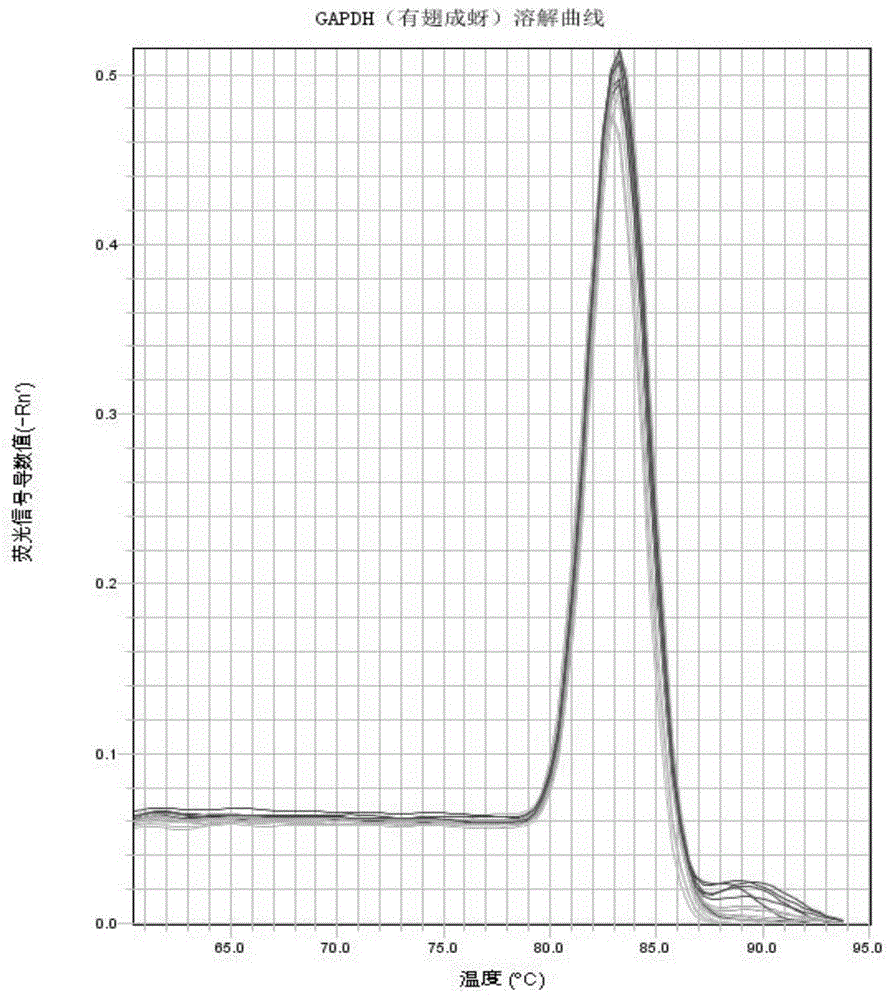 Rhopalosiphum padi GAPDH reference gene partial sequence, cloning method and application