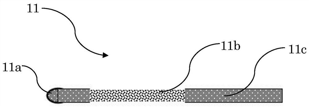 Arteriovenous blood vessel circulation abnormal cell capture device