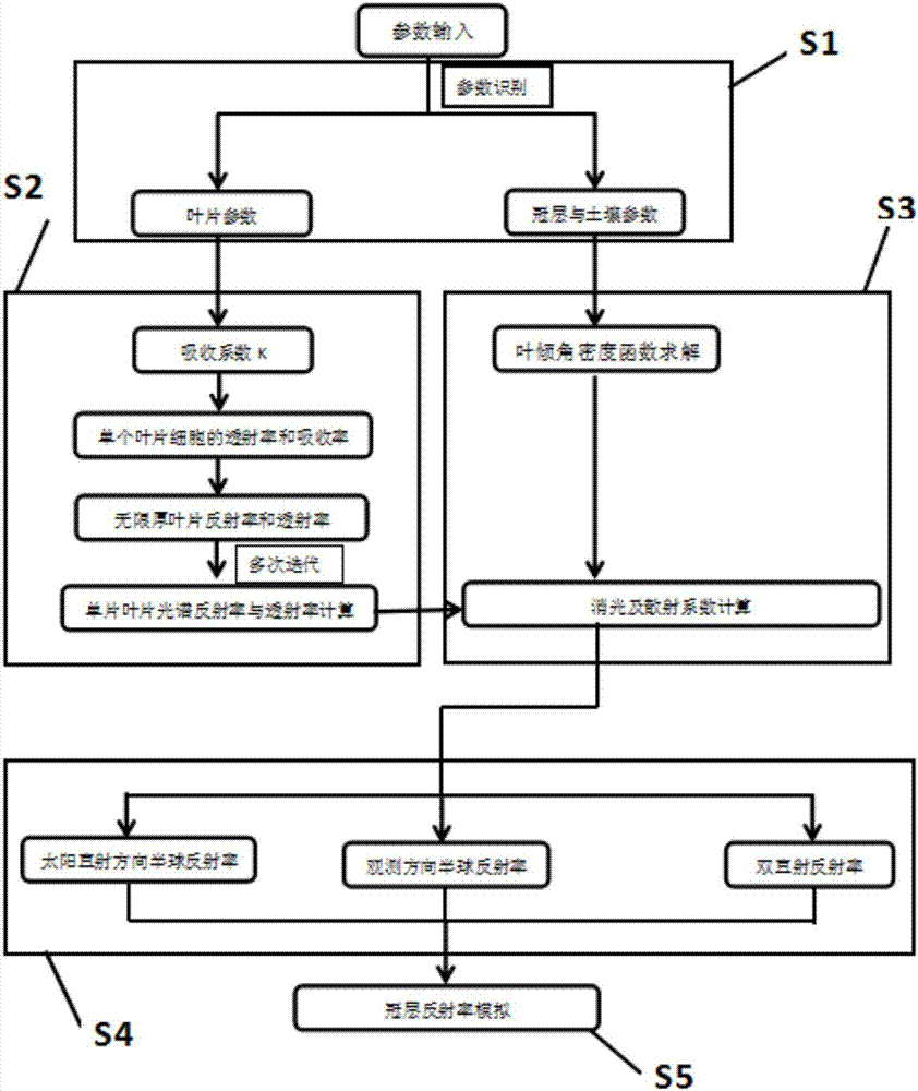 Method and model for calculating canopy reflectivity of broad-leaved vegetation