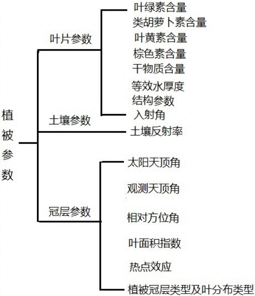 Method and model for calculating canopy reflectivity of broad-leaved vegetation