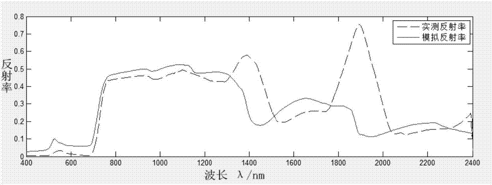 Method and model for calculating canopy reflectivity of broad-leaved vegetation