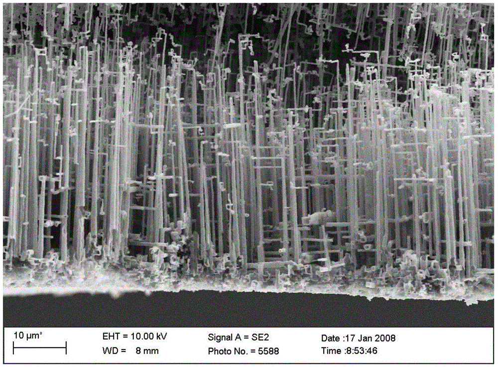 Corrosion process for anode aluminum foil with tunnel branched holes for aluminum electrolytic capacitor