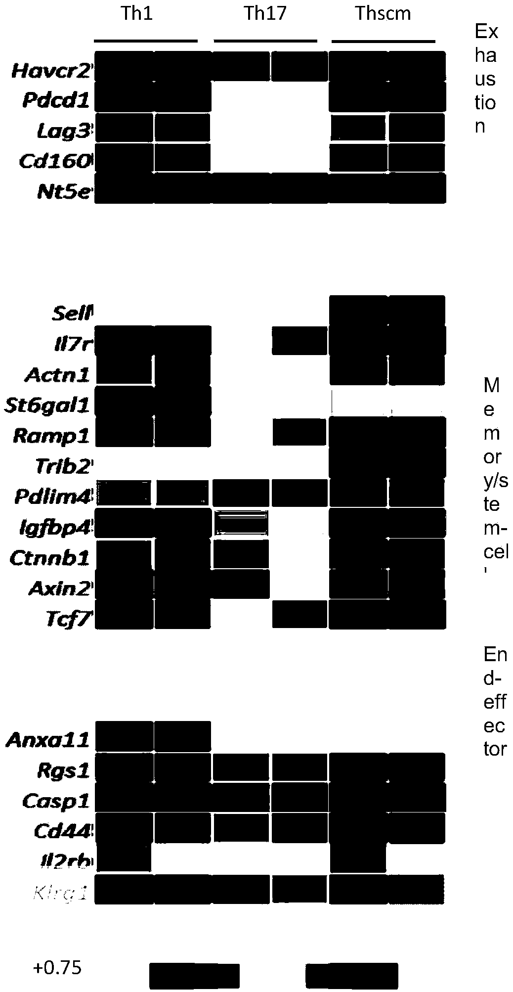 Method and combination for polarizing and amplifying CD4+T cells and application in healing tumor expressing specific antigen