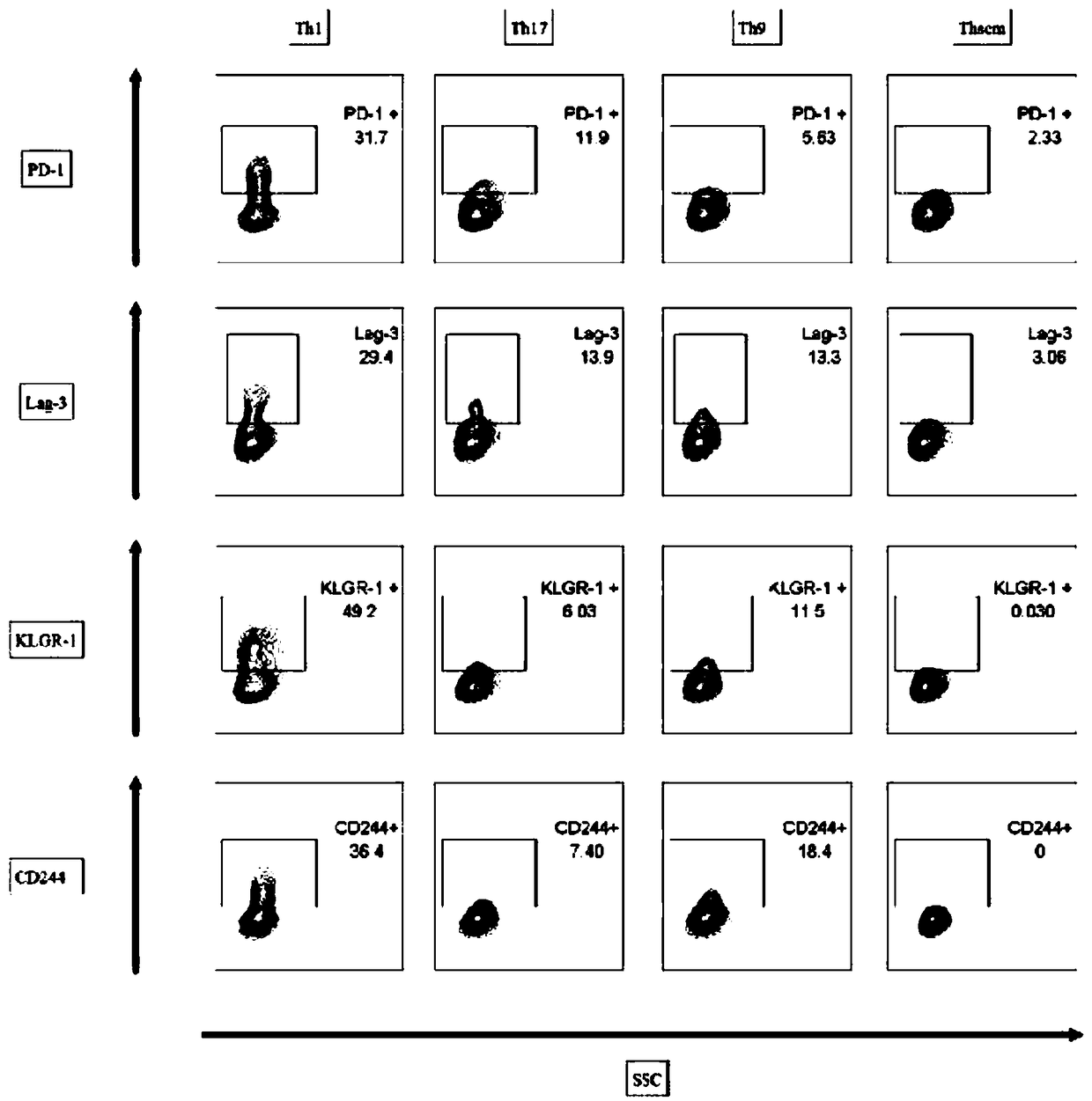 Method and combination for polarizing and amplifying CD4+T cells and application in healing tumor expressing specific antigen