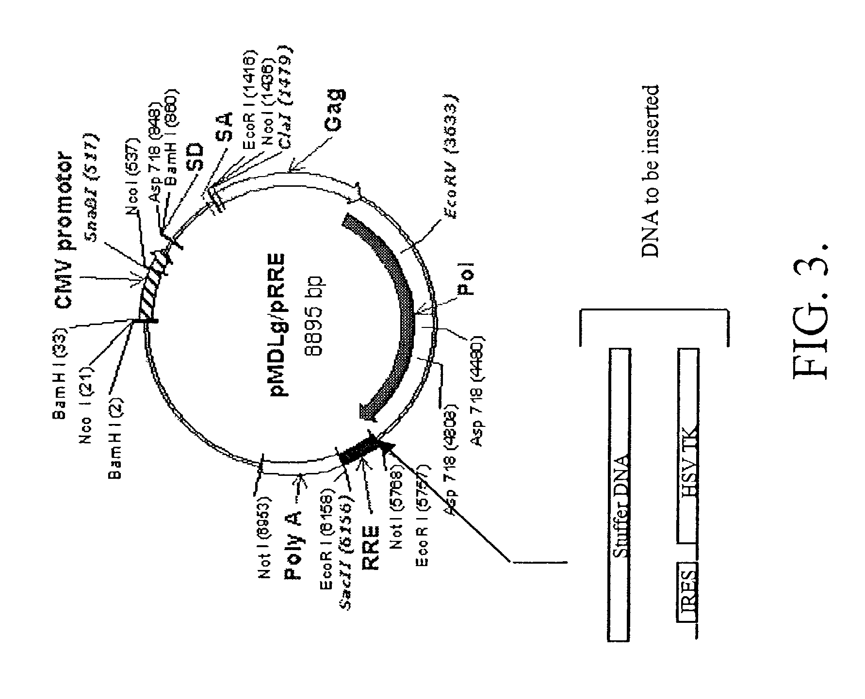 Methods and compositions relating to improved lentiviral vector production systems