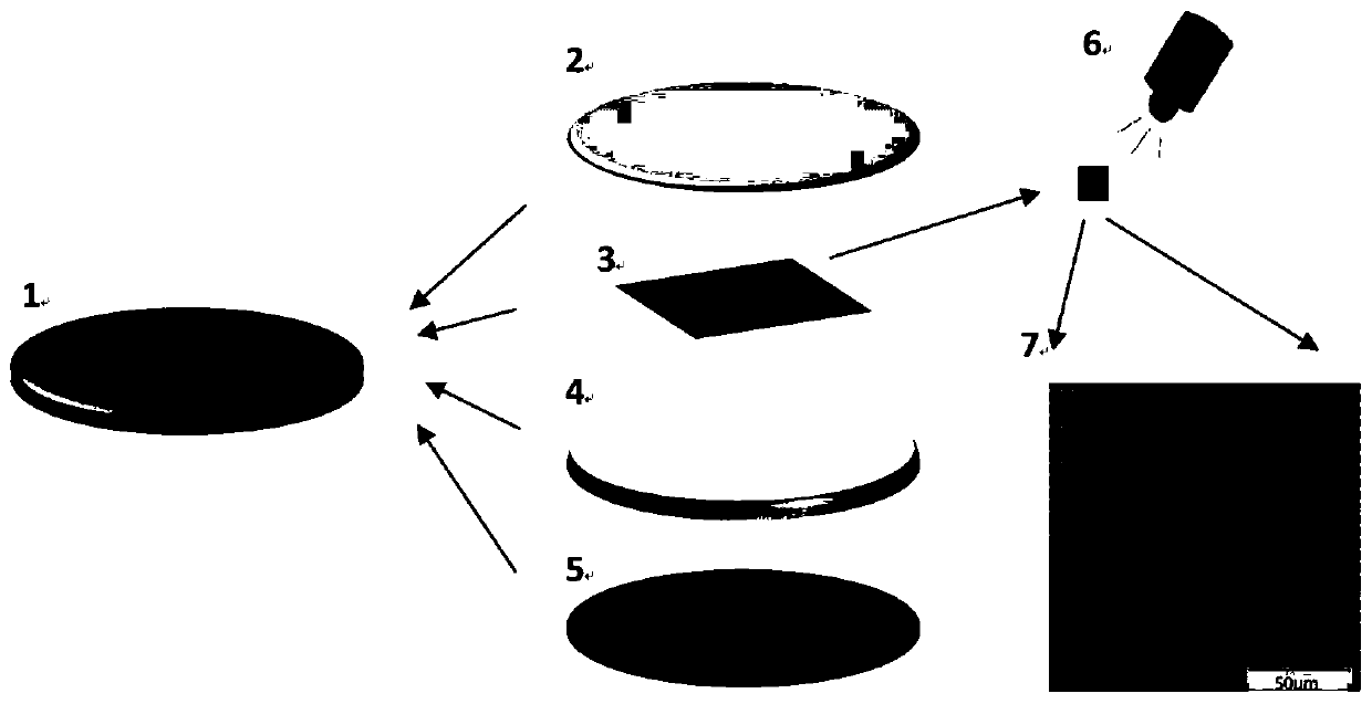 A kind of skeletal muscle myotube mechanics measurement chip and preparation method