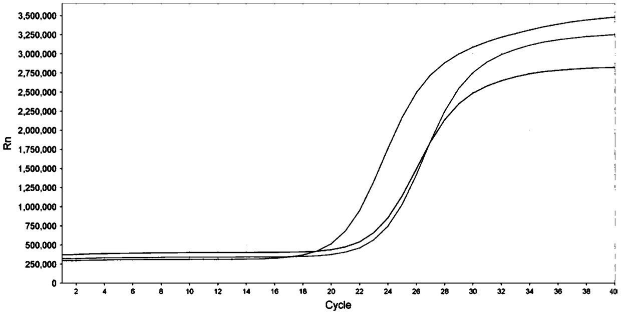 Fluorescent quantitative PCR method and primer pair for detection of fish parvalbumin