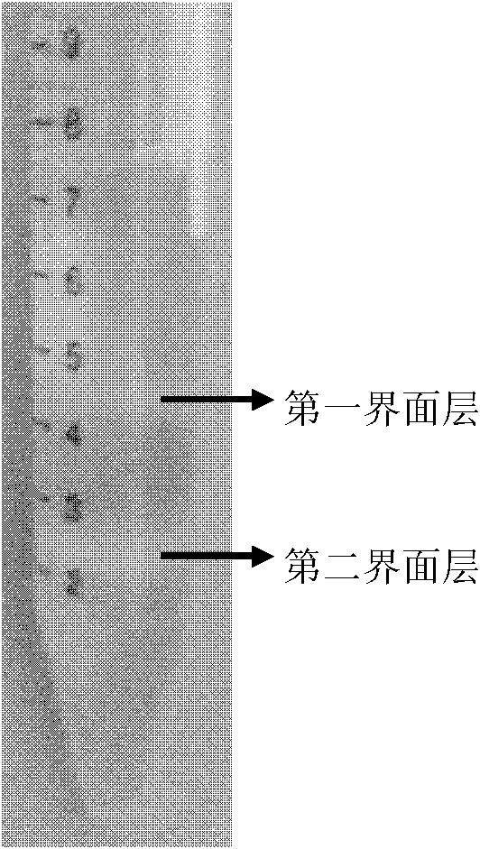 Two-layer percoll density gradient centrifugal separation method of boar sperms